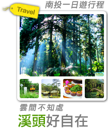 雲間不知處 溪頭山林好自在-