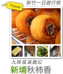 九降風滿園紅-新埔秋柿香-