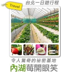 令人驚奇的祕密基地 內湖莓開眼笑-