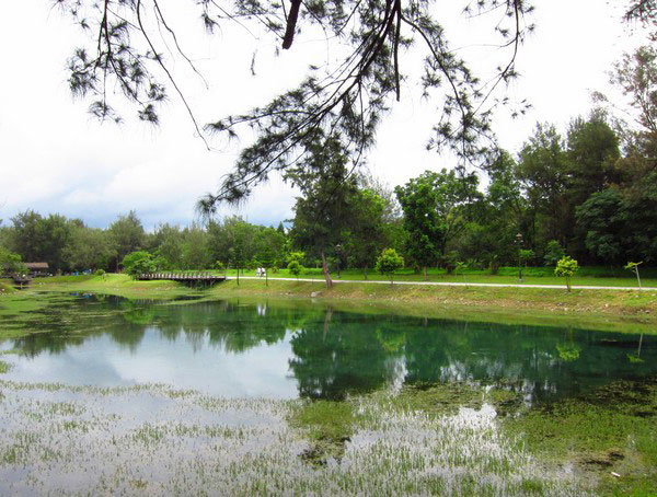 台東森林公園