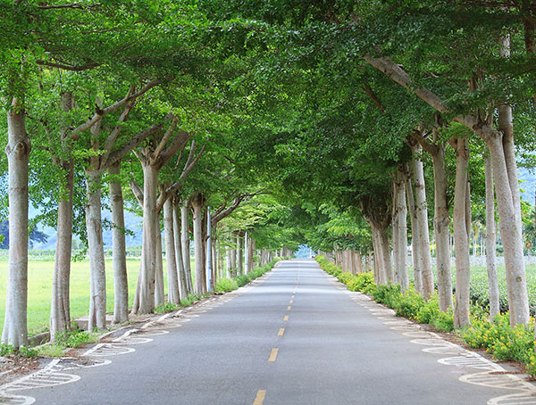 龍田自行車道