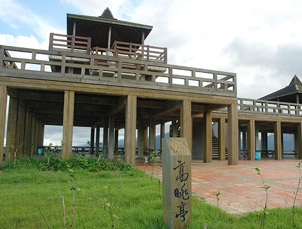 鹿野高台&鹿野觀光茶園