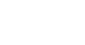 logo-2xu