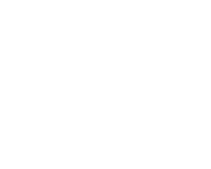 logo-2xu