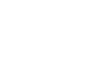 logo-incylence