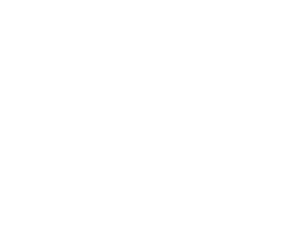 logo-rudy-project