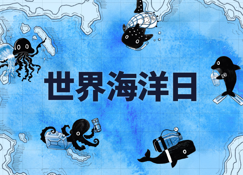 測一測你是哪一種海洋生物？