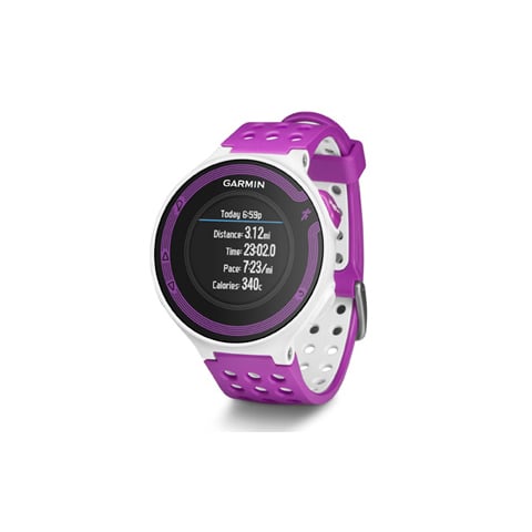 forerunner 220 step counter