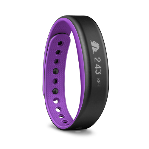 vivosmart 2