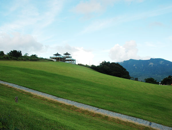 鹿野高台&鹿野觀光茶園