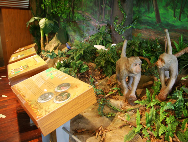 二水台灣獼猴生態教育館