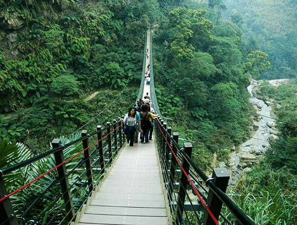 天梯&梯子吊橋