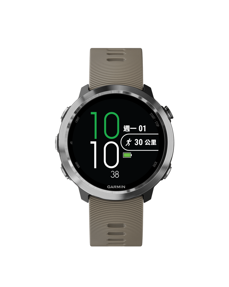 garmin forerunner 645 slate