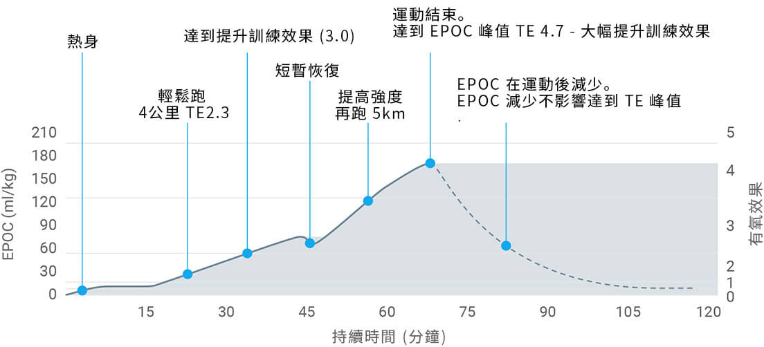 A graph showing excess post-exercise consumption derived from heart rate data during exercise.