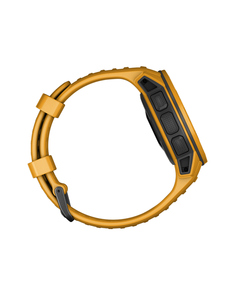 polar instinct solar